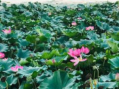 -江南大学(蠡湖校区)