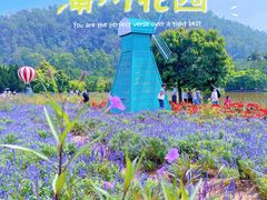 -南沙蒲洲花园