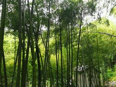 -藏龙百瀑风景区