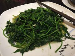 -丰食农家乐