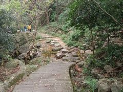 -北仑森林植物园