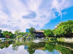 -顺峰山公园