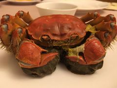 -王宝和酒家(黄浦店)