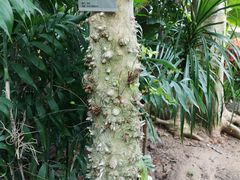 -北京植物园-展览温室