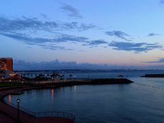 -蒸気海鮮