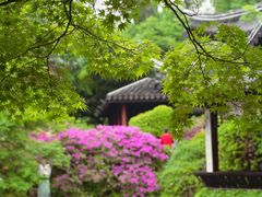 -惠山古镇·寄畅园