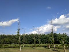 -蒲河岛湿地公园