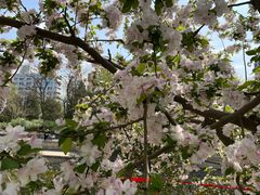 -元大都城垣遗址公园