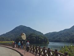 -广州市石门国家森林公园