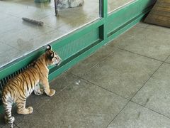 -秦皇岛野生动物园