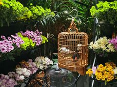 -包整·丝娃娃(一览甲秀楼风景店)