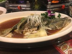 -刘胖子家常菜·蹄花焖藕(富安街店)