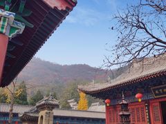 -青龙山生态文化旅游区(慈云寺)