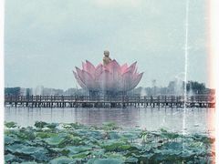 -白洋淀景区