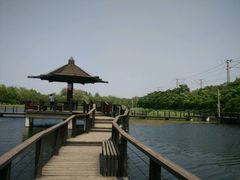 -前关湿地公园