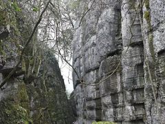 -山王坪喀斯特国家生态公园