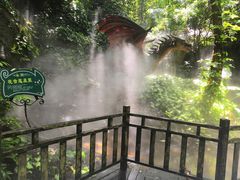 -呀诺达热带雨林
