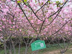 -洛阳市隋唐城遗址植物园