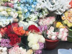 -循礼门鲜花花市(武汉循礼门店)