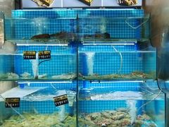 -老东镇啤酒屋海鲜加工·蒸汽海鲜·海鲜烧烤(台东店)