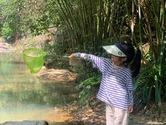 -广州白江湖森林公园