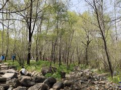 -玉渡山自然风景区