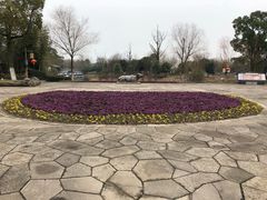 -梁鸿国家湿地公园