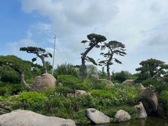 -罗红摄影艺术馆