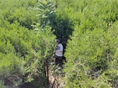 -亲兄弟真人CS团建拓展基地