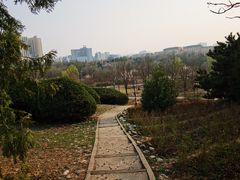 -滨河世纪广场公园