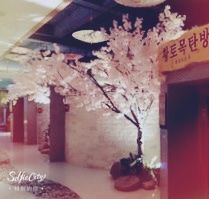 -巴斯漫温泉汗蒸馆(贡湖大道店)