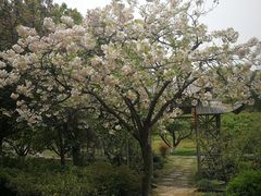 -白马涧龙池景区