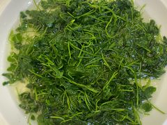 -苏启渔港(云南北路店)