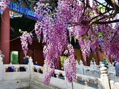 -北京国子监胡同
