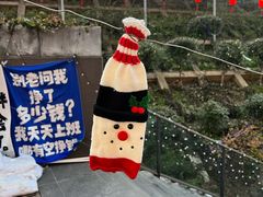 -仙林中心(地铁站)