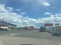 -张金涛熏鸡(x560店)