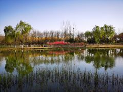 -大兴滨河森林公园