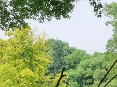 -重庆彩云湖湿地公园