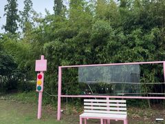 -桃花岛公园