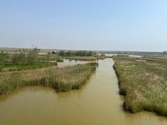 -盐城丹顶鹤湿地生态旅游区