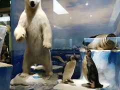 -国家自然博物馆