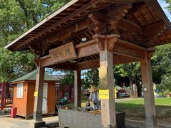 -庐山风景名胜区-东林大佛