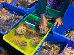 -仙本那小型鱼市