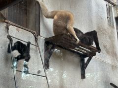-昆明动物园