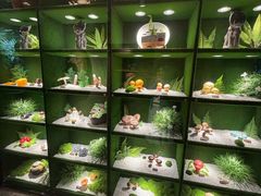 -慢丽江·云南野生菌土鸡锅(西山店)