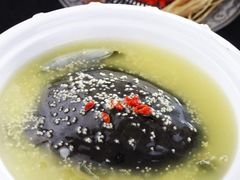 小米药膳甲鱼-金熙楼(熙南里店)