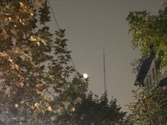 -金海椒罐罐鲢鱼(东方桂苑店)