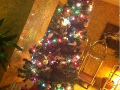 iphone_upload_pic-米兰洲际酒店