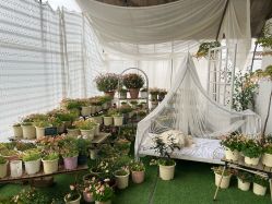 -DORA kids 朵拉儿童摄影花园店