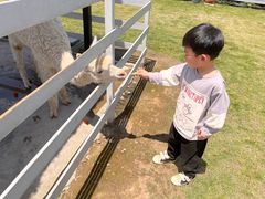 -宁波九龙湖开元度假村